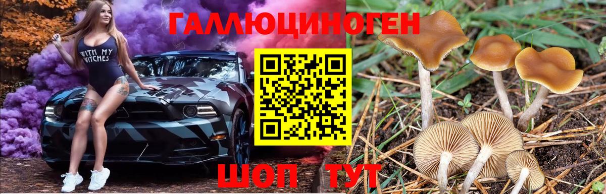 Псилоцибиновые грибы Magic Shrooms  Псилоцибиновые грибы Cubensis  Ливны  Вход с VPN 